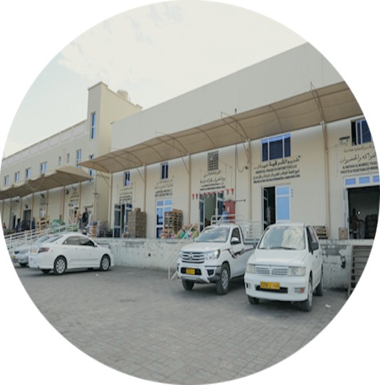 suq1.png