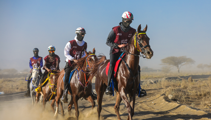 ختام سباق مهرجان صحار للقدرة والتحمل المحلي لمسافة 100 كيلومتر