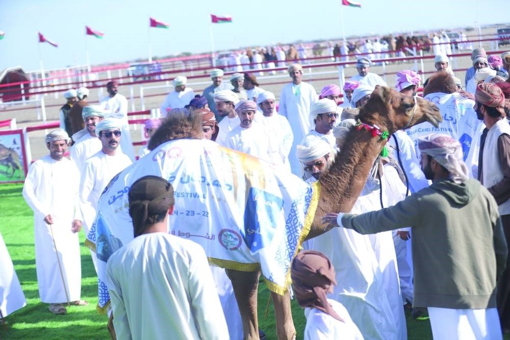 تنافس كبير في انطلاق مهرجان صحار للهجن 